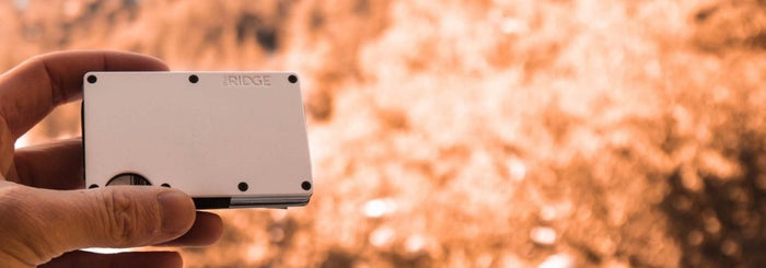 The Back To School Essential